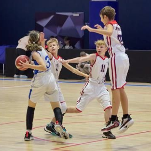 Фестиваль по баскетболу