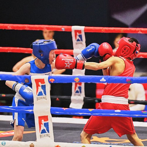 20 краевой турнир по боксу на призы группы компаний "Жар.птица"